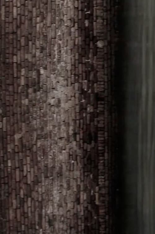 Las palomitas blancas