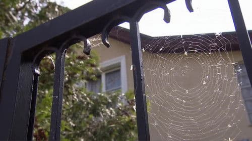 The Case of Kampusch: 10 Years after her Dramatic Escape Bild 1