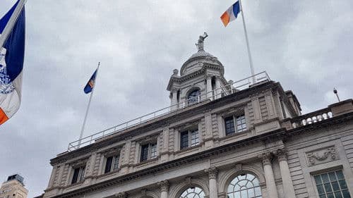 New York Cat Crisis Bild 4