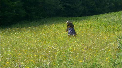 ターシャ・テューダー 静かな水の物語 Bild 2