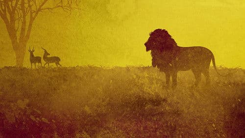 Afrikas tödlichste Jäger Bild 2