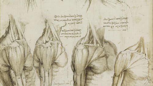 Leonardův deník 72 Bild 2