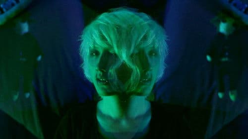 Carapaces Fragiles Bild 2