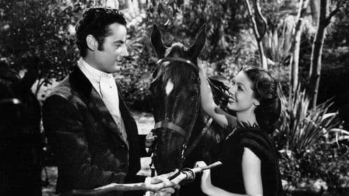 Roman einer Tänzerin Bild 2