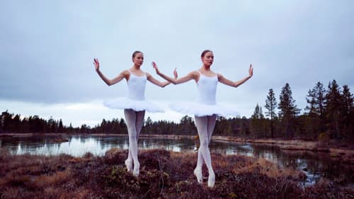 Birds in the Earth Bild 1