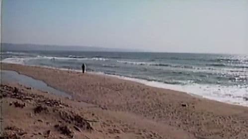 Zen, in Search of Enlightenment Bild 1