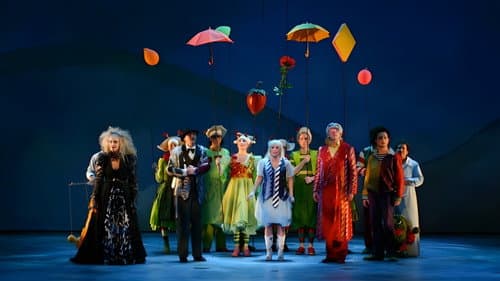 TiTa Tovenaar De Musical Bild 5