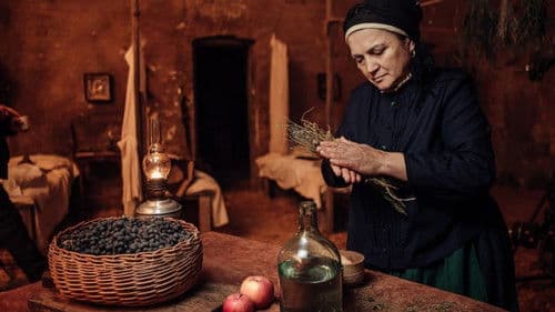 Чорний ворон Bild 1