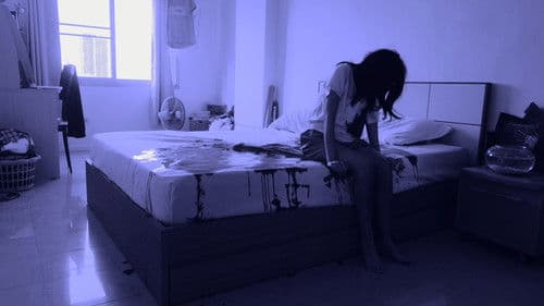 落ちて割れた星たち Bild 1