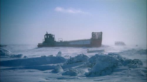 Top Gear: Polar Special Bild 3