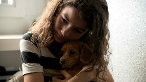 Platzspitzbaby Bild 2