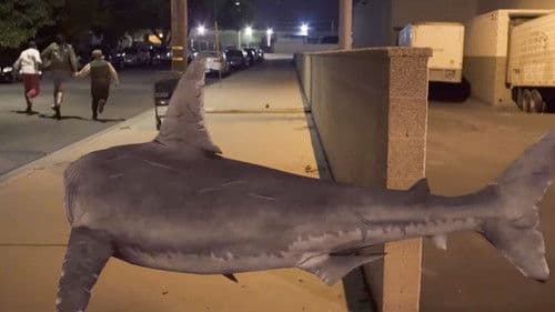 Bad CGI Sharks Bild 3