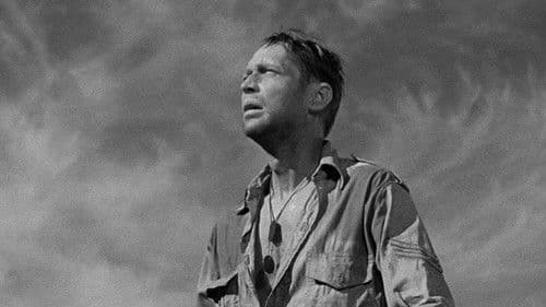 Fünf Gräber bis Kairo Bild 2