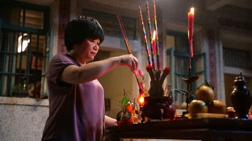 带你去见我妈 Bild 2