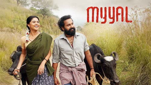 மையல் Bild 1