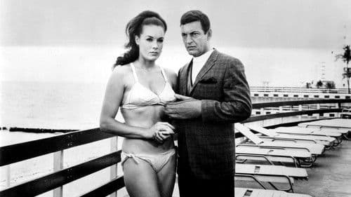 Peligro...! Mujeres en acción Bild 1