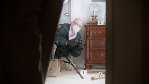 Sometime the Wolf Bild 1