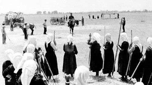 Blutendes Land Bild 2