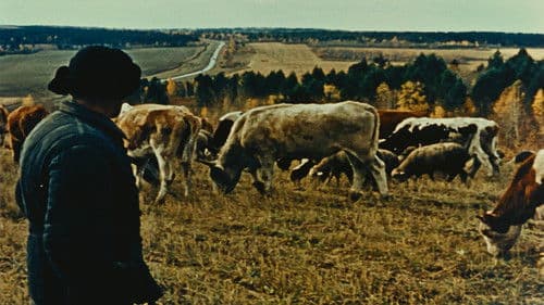 Lettre de Sibérie Bild 8