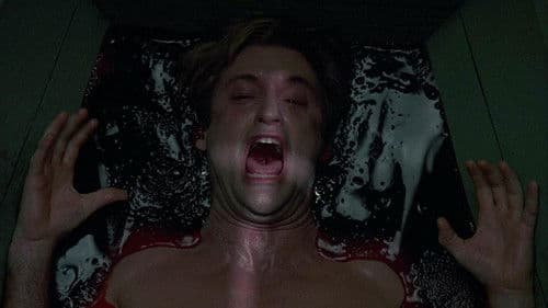 Die Schlange im Regenbogen Bild 8