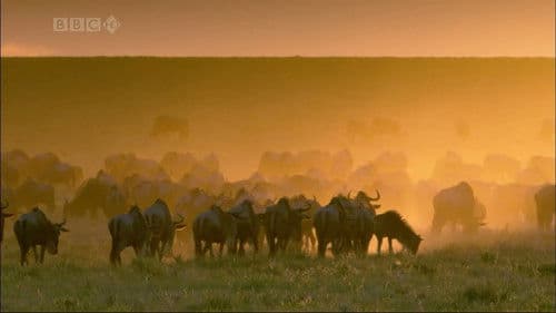 Wildlife Specials Bild 2