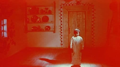 Вечір на Івана Купала Bild 6