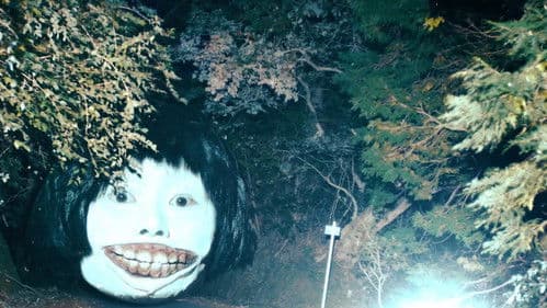 デスフォレスト 恐怖の森 Bild 2