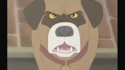 Pirate's Passage Bild 2