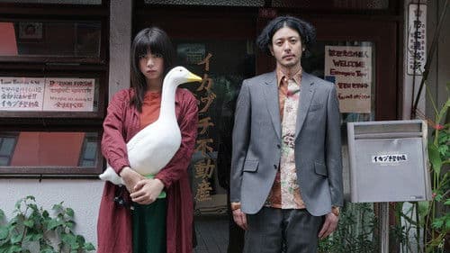 ルームロンダリング Bild 1