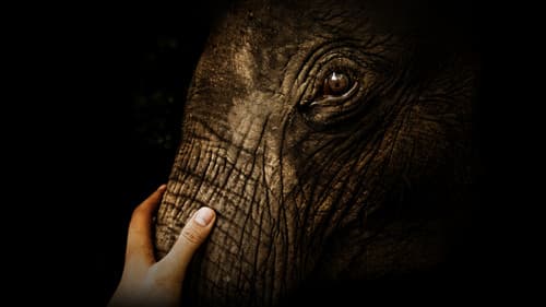 Namibia, Sanctuary of Giants Bild 2