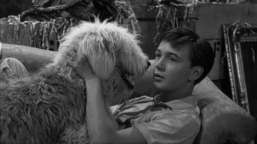 Der unheimliche Zotti Bild 8