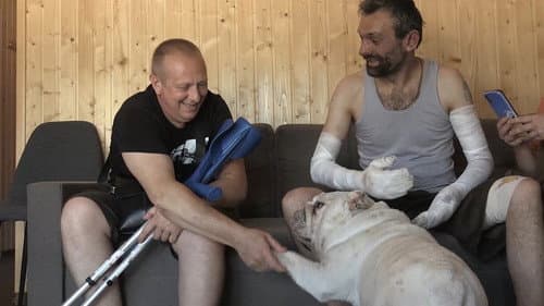 犬と戦争: ウクライナで私が見たこと Bild 5