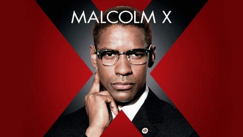 Malcolm X Bild 1
