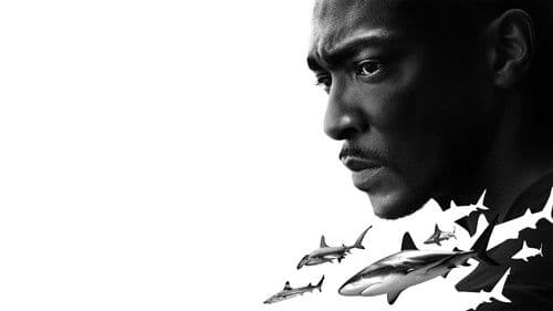 Der Strand der Haie mit Anthony Mackie: Golfküste Bild 3