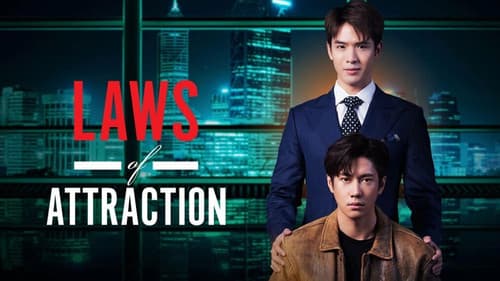 Laws of Attraction Bild 5