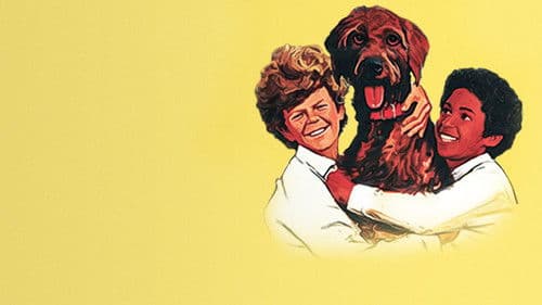 Die Promenadenmischung Bild 4