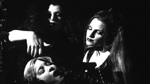 Ladies of the Night Bild 1