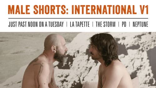Male Shorts: International V1 Bild 1