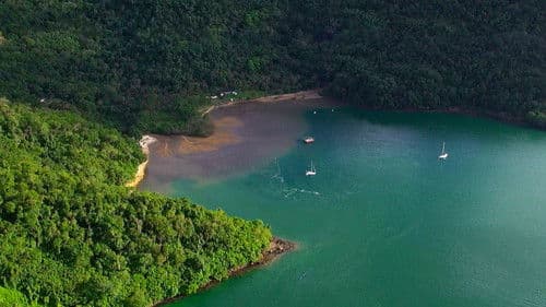 Une fleur dans le Pacifique Bild 2