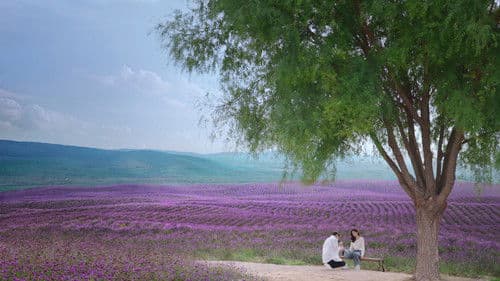 你的谎言也动听 Bild 2