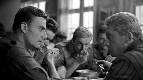 Czerwone berety Bild 2