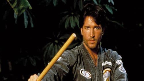 Eine perfekte Waffe Bild 4