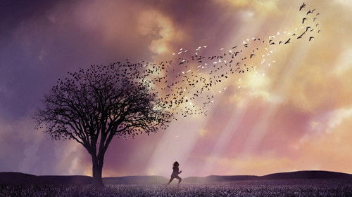 In meinem Himmel Bild 8