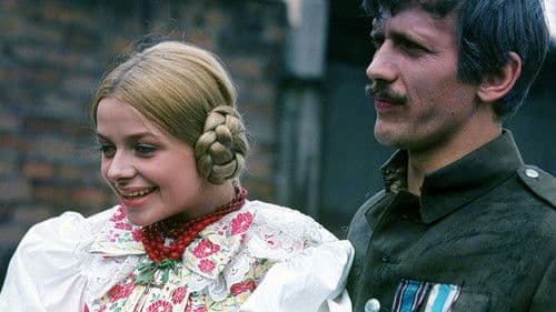 Eine Perle in der Krone Bild 6