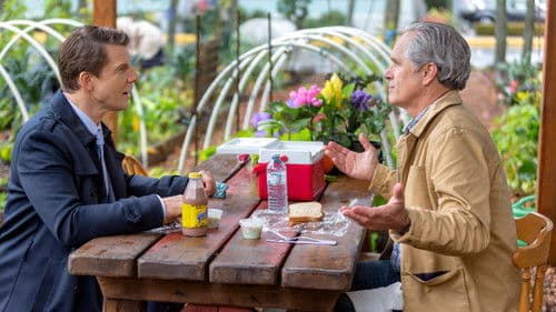 Signed, Sealed, Delivered: Higher Ground Bild 6