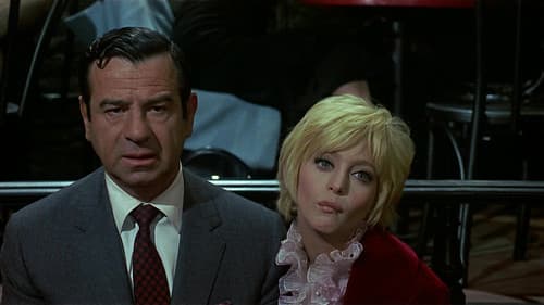 Die Kaktusblüte Bild 6