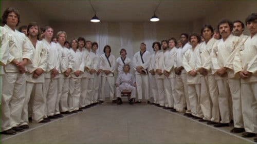 Die Macht der Fünf Bild 4