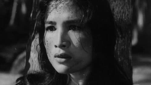 Vĩ tuyến 17 ngày và đêm Bild 4