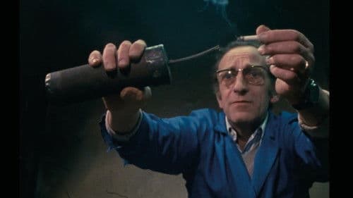 Widerstandskämpfer im Ruhestand Bild 1