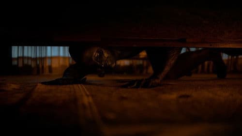 Carta de amor a la muerte Bild 1